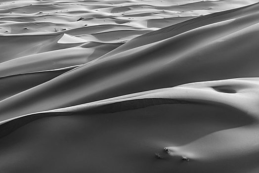 沙丘,沙漠,单色调,却比沙丘,梅如卡,撒哈拉沙漠,摩洛哥,非洲