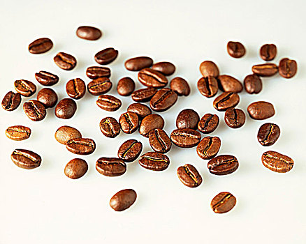 咖啡豆,白色,表面