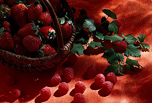 草莓,树莓