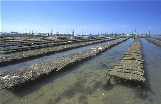 法国,阿基坦