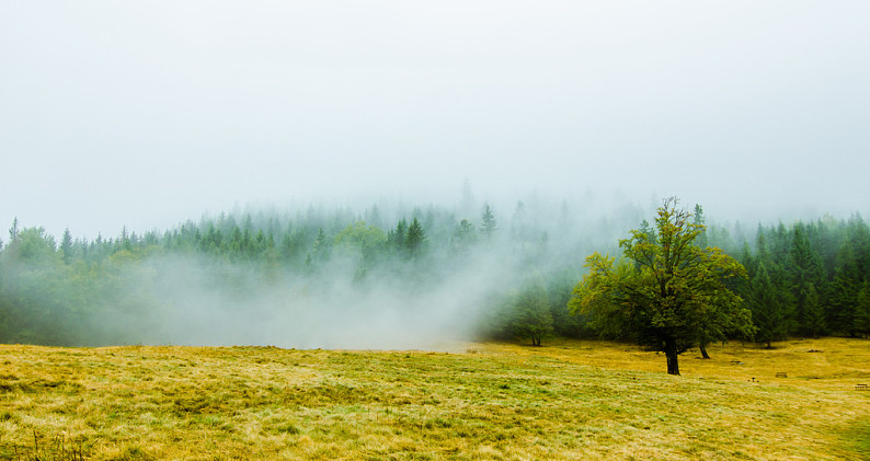 景色,模糊,早晨,山,风景,湖_高清图片_全景视觉