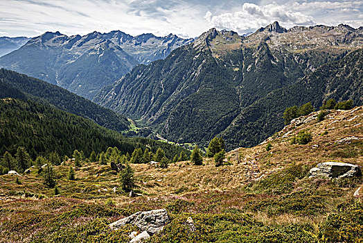 风景,山谷,提契诺河,瑞士,欧洲