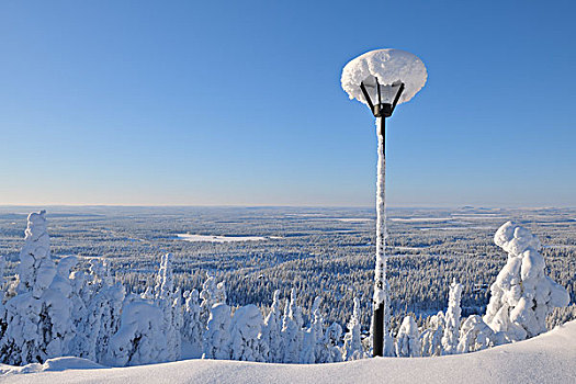 积雪,路灯,远眺,树林,库萨莫,北方,芬兰