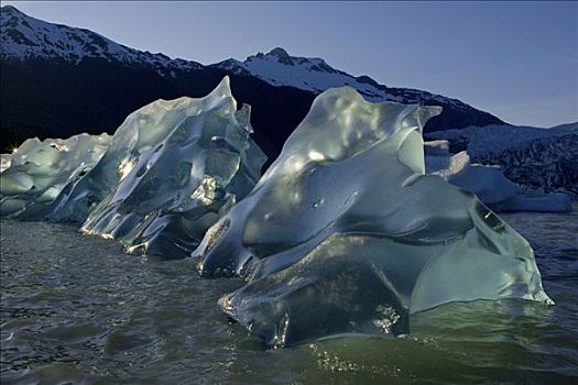 冰山,漂浮,表面,湖,远处,棉田豪冰河,阿拉斯加