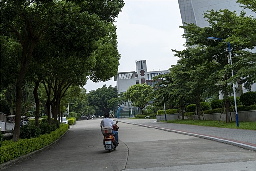 羊城广州夏天大学城校园暑假林荫大道