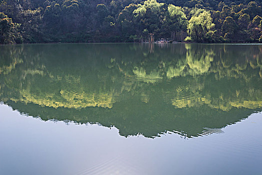 旧式,水,背景