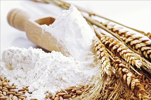 面粉,木质,量匙,穗,干燥,小麦,松,小麦作物