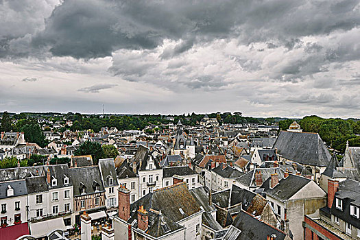 俯拍,城市,传统,独栋别墅,屋顶,昂布瓦斯,卢瓦尔河谷,法国