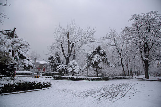 城市雪景