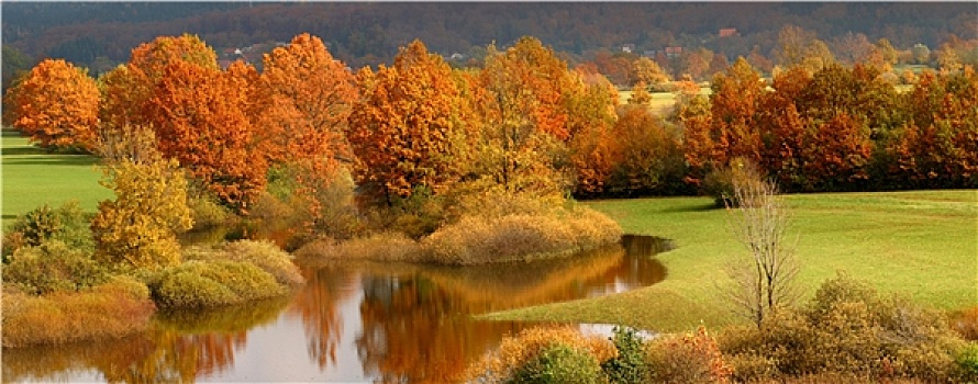 秋天,色彩,树,反射