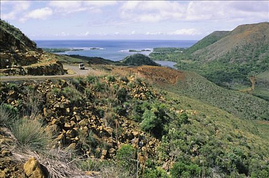 新加勒多尼亚,绿色,风景,道路,海洋,背景