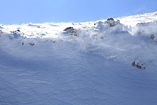 东天山雪韵