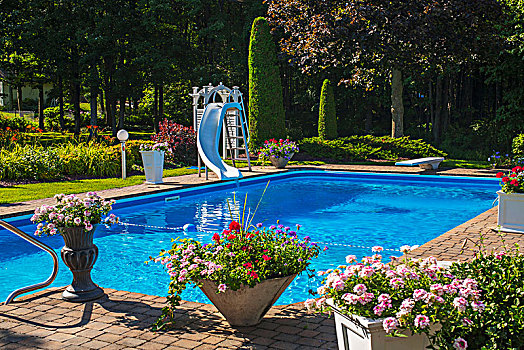 游泳池,滑动,盆花,内庭,魁北克,加拿大