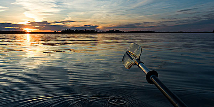 特写,桨,湖,木头,安大略省,加拿大