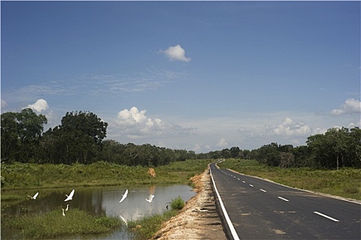 乡间小路,斯里兰卡