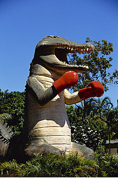 雕塑,鳄鱼,拳击手套,北领地州,澳大利亚