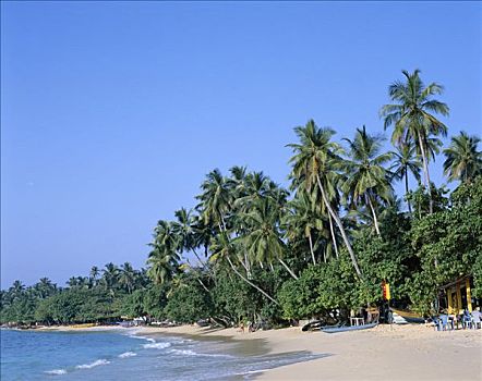 乌纳瓦图纳,海滩,海洋,沙子,棕榈树,斯里兰卡