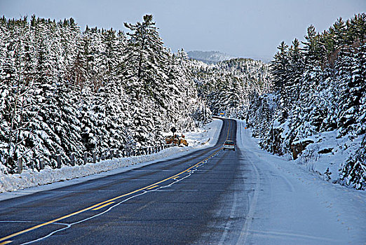 汽车,旅行,冬天,道路,阿尔冈金公园,安大略省,加拿大