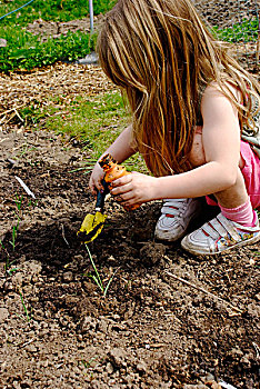 女孩,种植,种子,小块菜地,花园