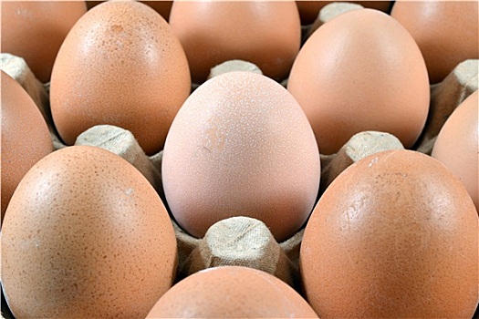 蛋架,褐色,柴鸡蛋