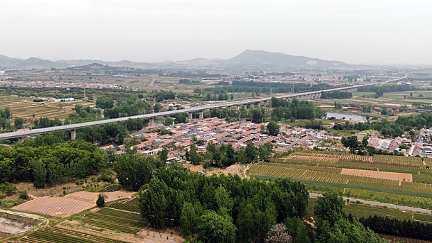 山东省日照市,万亩茶园染绿乡村大地,茶产业助农民致富