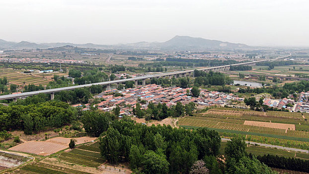 高压泵