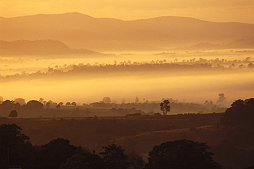 晨雾,昆士兰,澳大利亚