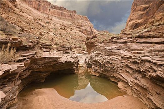砂岩,水坑,峡谷地国家公园,犹他,美国