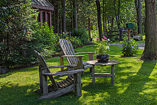 宽木躺椅,花盆,魁北克,加拿大