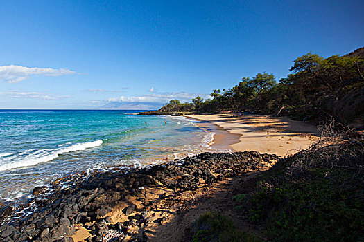 海滩,小,毛伊岛,夏威夷