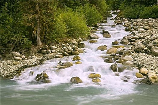 支流,溪流,进入,河,海岸山脉,不列颠哥伦比亚省,加拿大