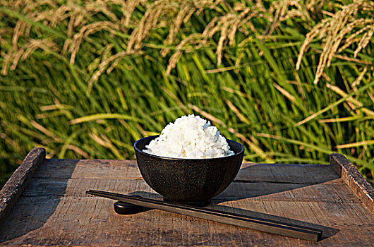 碗,米饭,正面,稻田