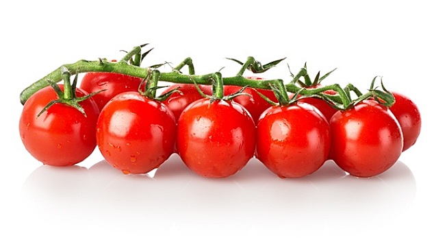 枝条,西红柿