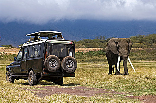 游客,看,恩戈罗恩戈罗,世界遗产,坦桑尼亚,非洲