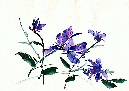 手繪花卉