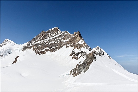 阿尔卑斯山,山脉,少女峰,瑞士