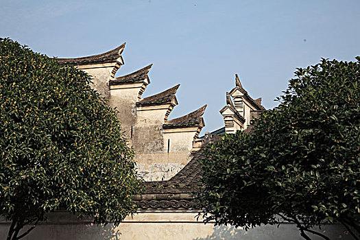 宁波老房子