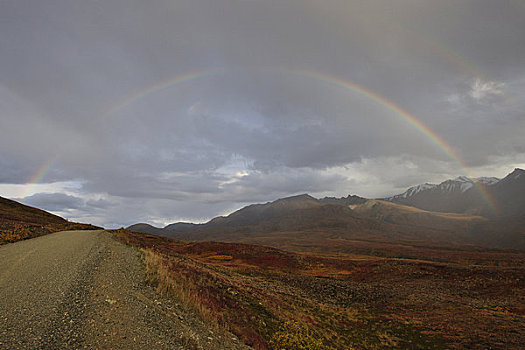 彩虹,上方,苔原,靠近,公园,道路,德纳里峰国家公园,室内,阿拉斯加