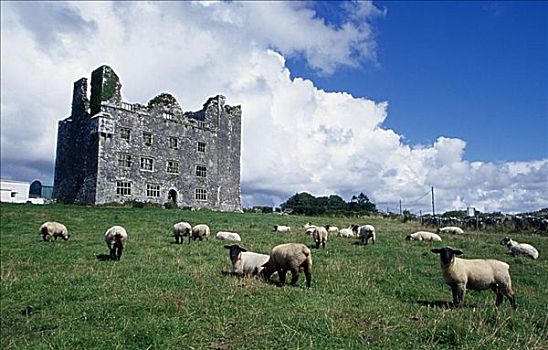 城堡,布伦,爱尔兰