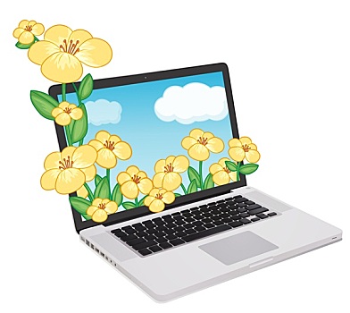 笔记本电脑,花