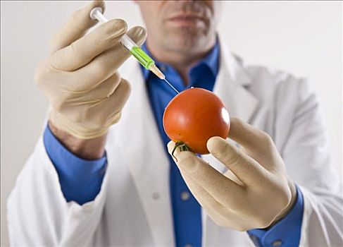 男人,实验室,注射,液体,西红柿