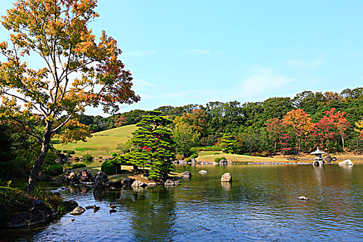 公园,日式庭园
