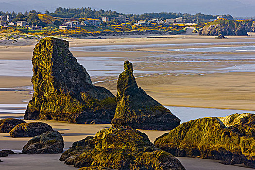 岩石构造,海滩,班顿海滩,俄勒冈,美国