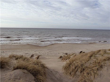 沙,海岸线,北方,丹麦