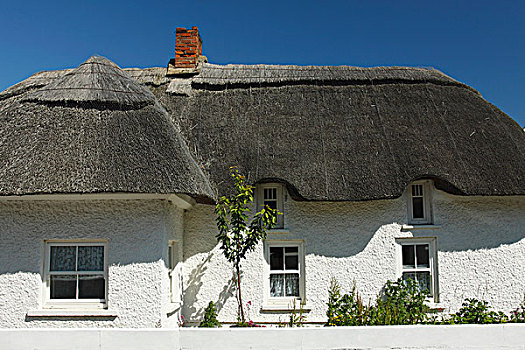 茅草屋顶,屋舍,码头,乡村,韦克斯福德郡,爱尔兰