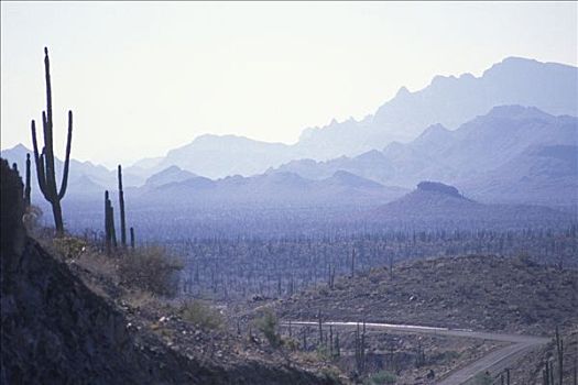 1号公路,荒芜,北下加利福尼亚州,靠近,洛雷托,墨西哥