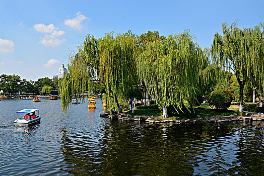 宁波月湖公园