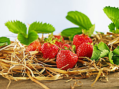草莓,叶子,桌面,木头,稻草