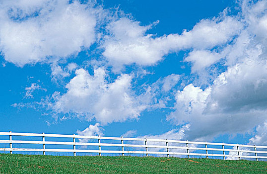 云,蓝天,高处,白色,木篱,青草,山谷