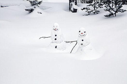 两个,高兴,雪人,冬天,风景
